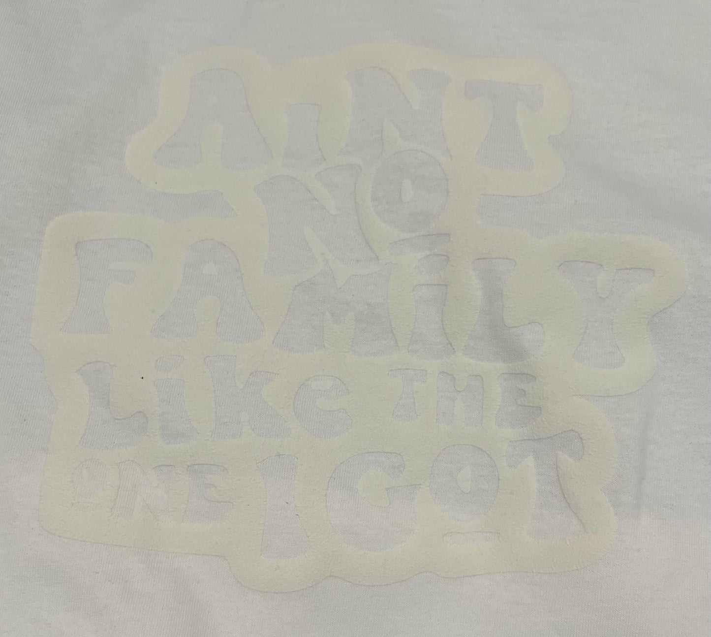 "Aint No Family Like The One I Got" Color Transition T-Shirt