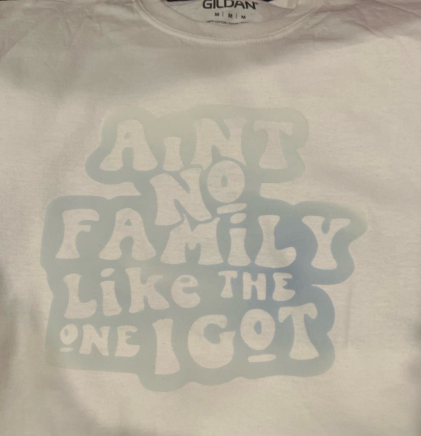 "Aint No Family Like The One I Got" Color Transition T-Shirt