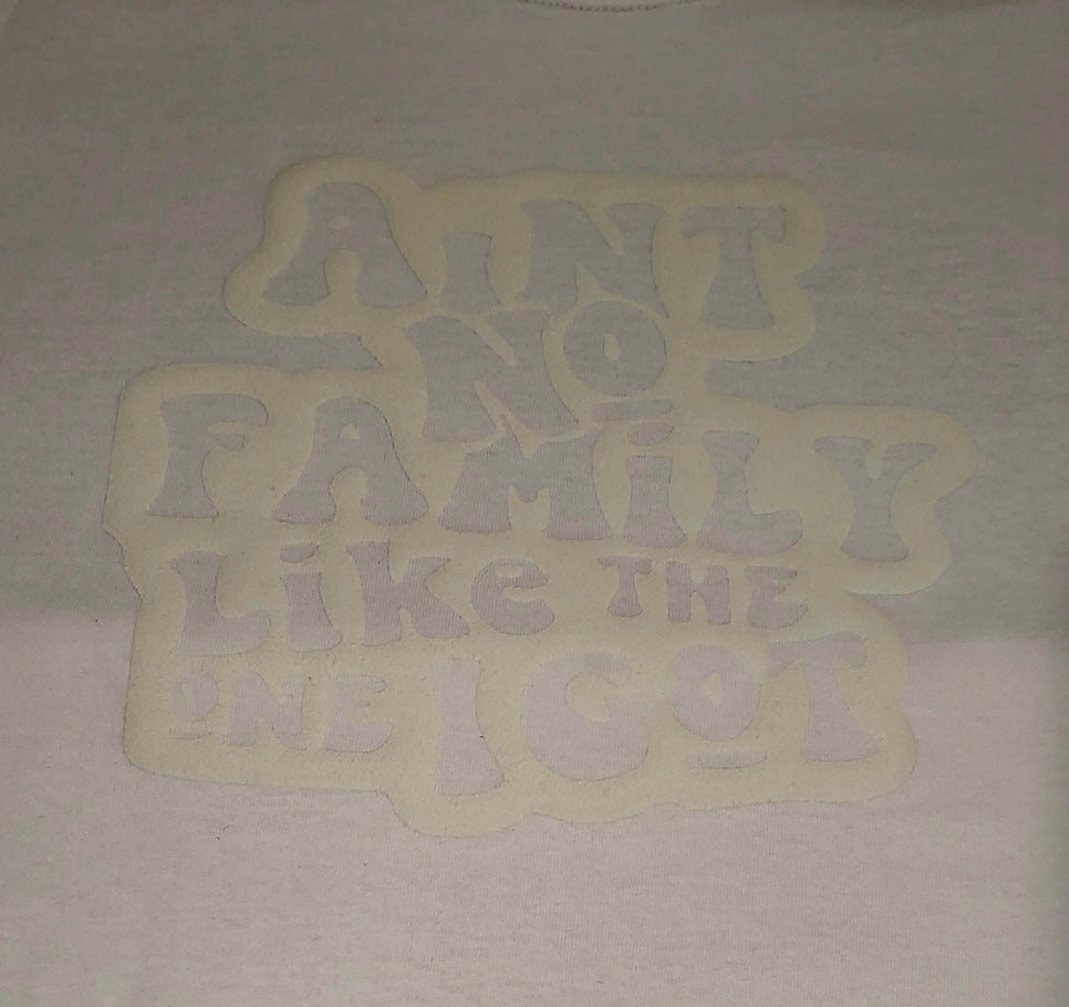 "Aint No Family Like The One I Got" Color Transition T-Shirt